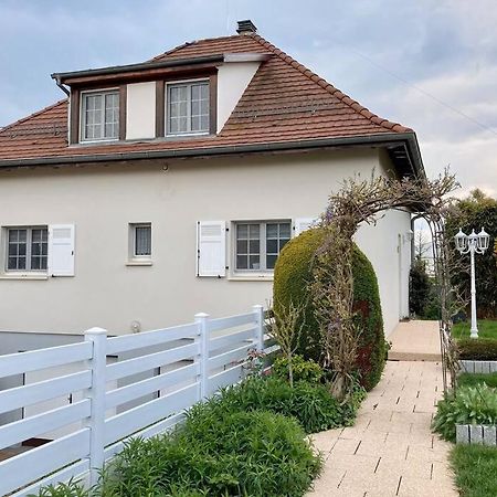Le Papillon,Logement Cosy En Alsace Erstein Exterior photo